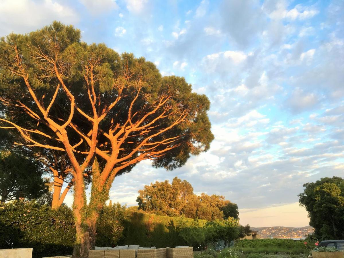 Lovely "Provence" Villa With Sea View, Private Heated Pool, Airco And Beautiful Garden Grimaud Eksteriør billede
