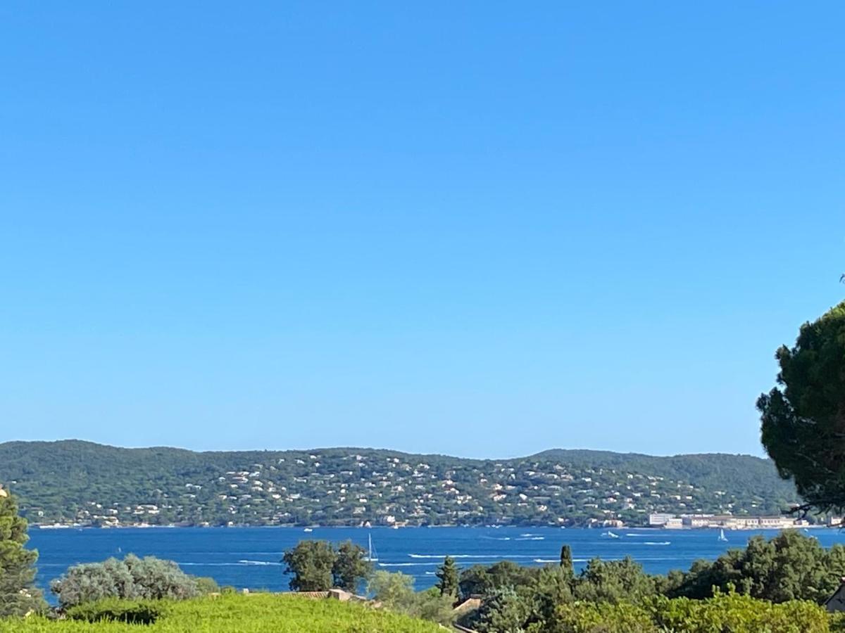 Lovely "Provence" Villa With Sea View, Private Heated Pool, Airco And Beautiful Garden Grimaud Eksteriør billede